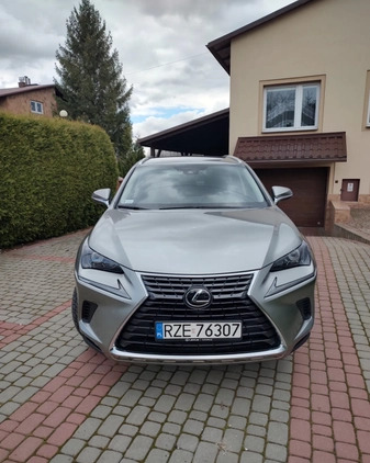 Lexus NX cena 139500 przebieg: 20800, rok produkcji 2019 z Tyczyn małe 56